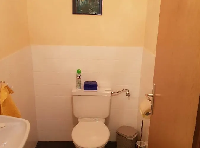 Familie Haupt באד אאוסי